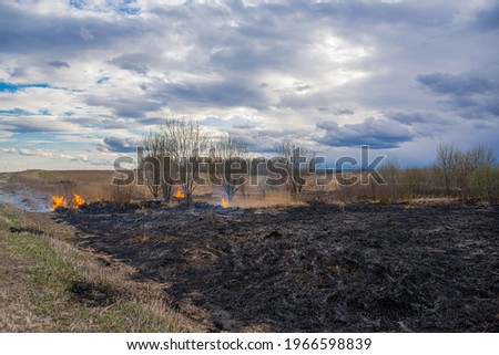 dry grass burns near the highway in the spring evening