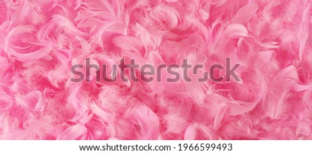 Background with beautiful pink feathers. Pastel pink feather decorations. Horizontal flat lay. Copy space Royalty-Free Stock Photo #1966599493