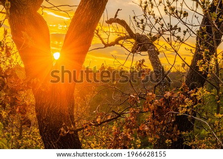 Sunset in Prague in the Troja district. The photo was taken in Drahaň Park