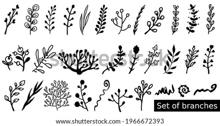 Set of hand-drawn branches. Black white doodle twigs. Botanical collection for floral icons. Group of objects. Vector blades of grass to create prints, patterns, forest kids designs. Insulated element