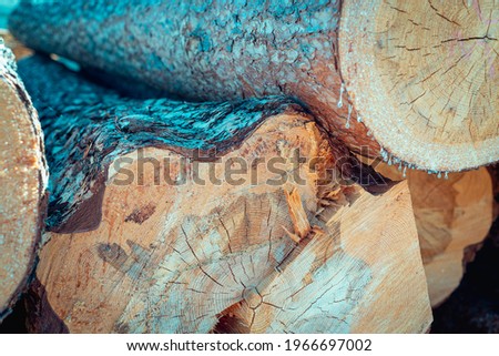 Logs (sawn wood) lie in rows.