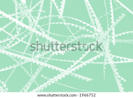 Scarp of white paper, green