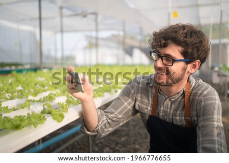 Smiling Caucasian male farmer in apron and glasses, squatting using cellphone take a picture of fresh organic vegetables grown in the hydroponic system in hydroponic farm for promotion in social media