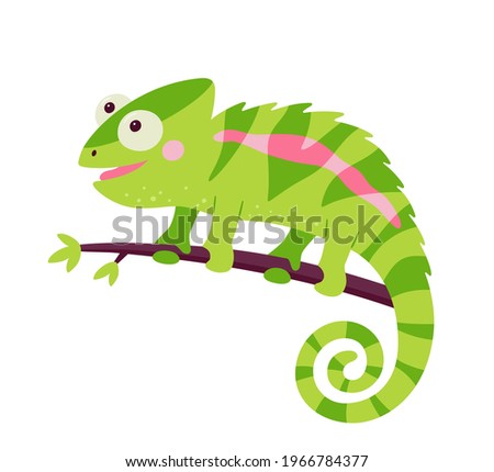 Funny chameleon lizard character. Green reptile with curved tail sitting on branch of jungle tree. Isolated vector illustration on white background.