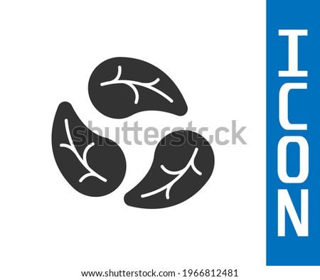 Grey Leaf icon isolated Grey background. Leaves sign. Fresh natural product symbol.  Vector