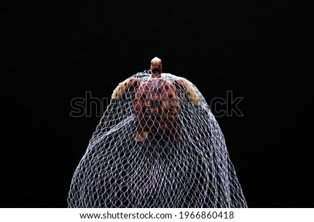 A turtle toy model trapped in white net on black background. Minimal world ocean day concept.
