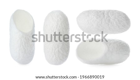 Set with natural silkworm cocoons on white background. Banner design Royalty-Free Stock Photo #1966890019