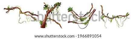 Liana or vine winding branches cartoon vector illustration. Jungle tropical climbing plants. Royalty-Free Stock Photo #1966891054