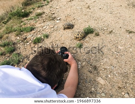 A photographer and travel blogger lies on the ground to photograph or video two turtles in the wild, in the desert