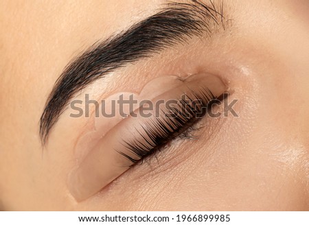 Young woman undergoing eyelash lamination, closeup. Professional service Royalty-Free Stock Photo #1966899985