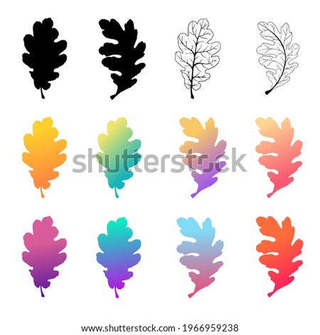 Set of oak leaves in different gradient colors. Trendy colors. On an isolated white background. This template can be used for design, pattern creation, site pages.