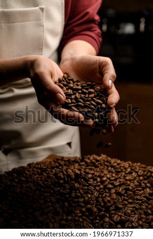 view of female hands with roasted coffee beans pouring out of cupped hands in bunch of other coffee seeds Royalty-Free Stock Photo #1966971337