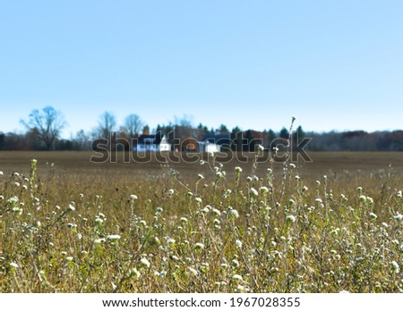Field in Fall with White Farmhouse in Background