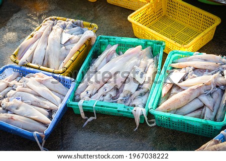 Fresh raw squid in basket sold in local seafood market. Placed on the ground ready for sale, Chonburi, Thailand. Royalty-Free Stock Photo #1967038222