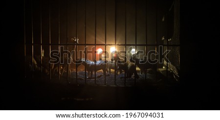 A group of animals inside a cage miniature. Wild animals in the zoo concept. Burning colorful background. Selective focus.