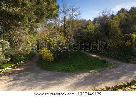 Landscaped picture of a pathway in an andalusian park