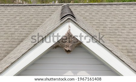Aerial Drone Picture of a Paper Wasp Nest Under A Roof Peak of a Residential Home.  Grey colored nest is constructed by bees or wasps under the eave or soffit of a house.