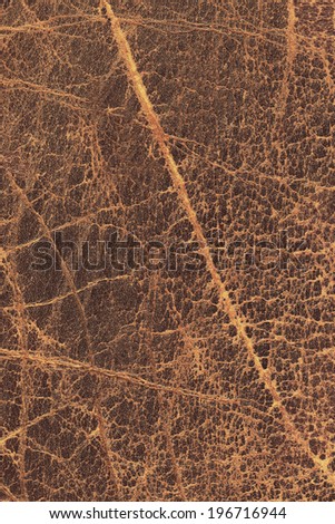 Photograph of old, weathered, rough, cracked, wrinkled, coarse grained, exfoliated cowhide texture sample