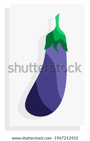 eggplant.  illustrations for vitamins, healthy food, vegetables, fruit.  minimalist flat vector eps 10