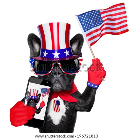 american selfie french bulldog taking a selfie and waving with usa flag
