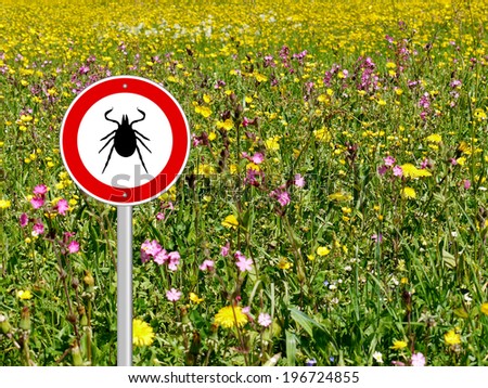 tick sign in flower meadow background Royalty-Free Stock Photo #196724855