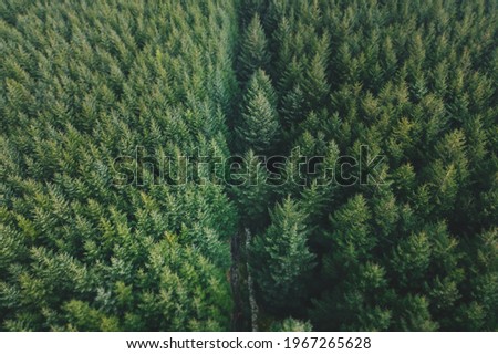 Aerial view of a dense monoculture spruce forest in the Wicklow Mountains nearby a 570m high peak called Maulin along Wicklow Way trekking trail  Royalty-Free Stock Photo #1967265628