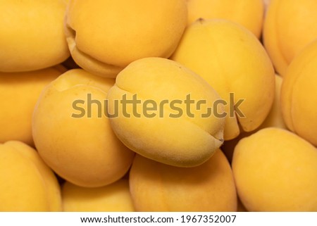 Fresh ripe apricots. Close up