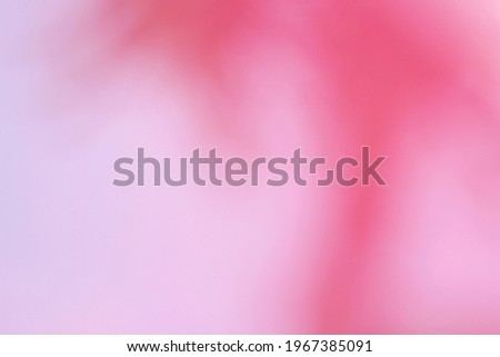 pink​ light​ color​ of​ flower​