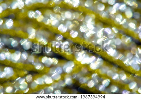Background with bokeh effects. Glowing light effects, blurred photo surface, festive glowing background. Abstract Magic Photography