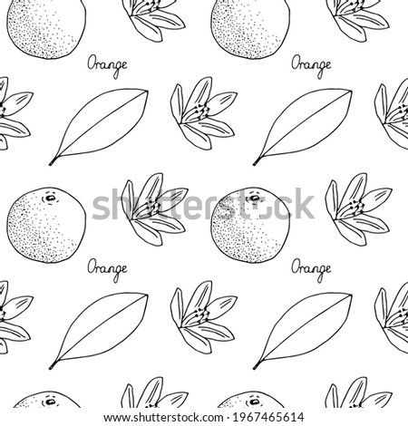 Orange seamless pattern, vector illustration, hand drawn sketch