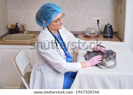 Inspection of the cat fur by a veterinarian called at home