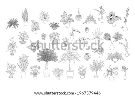 Set of various monochrome tropical house plants in planters. Black line art. Stock vector illustration. Royalty-Free Stock Photo #1967579446