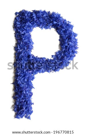 letter P made of flowers (cornflowers) isolated on white background - stock photo
