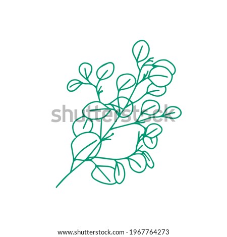 A trendy separate element of the tropical leaf. Eucalyptus, ivy. Hand drawn doodle illustration for decoration, print, posters, textile design, postcards. Isolated over white background.