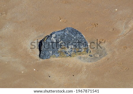 a large stone in the wet sand