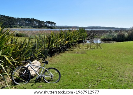 Photography of a beautiful lagoon, its coast and a bike parked beside a tree trunk
