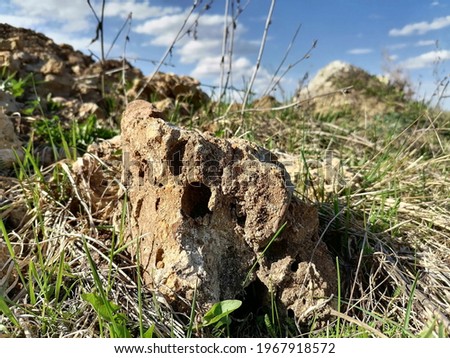 Porous stone, stone in green grass against the background of a blue sky