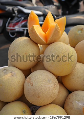 
Mysuru,Karnataka,India-May 02 2021; A Close up portrait picture of the Musk melon fruits which are abundantly grown near Mysuru city in Karnataka,India.
