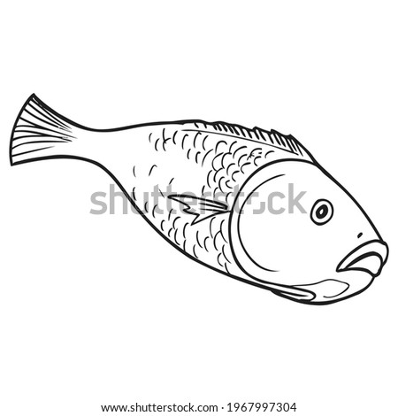 fish line vector illustration,
isolated on white background.top view