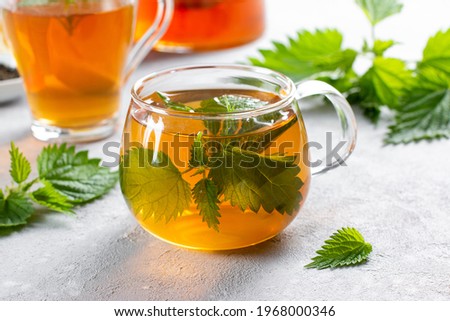 Nettle tea and fresh nettle leaves. A glass cup of nettle tea with fresh nettles on the table Royalty-Free Stock Photo #1968000346