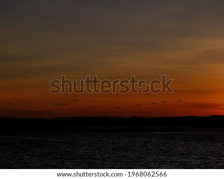 View of the sky immediately after sunset. birds are flying over the lake towards the horizon. Colorful evening. Golden hour of photography. Distant view.