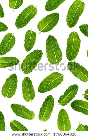 Fresh Mint Leves on White Background. Top Down Detail macro View. Royalty-Free Stock Photo #1968064828