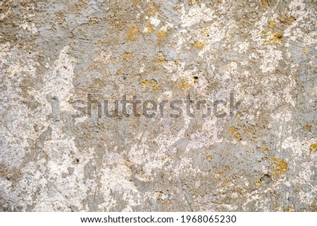 Concrete wall covered with moss, background for designer. Rough stone texture.