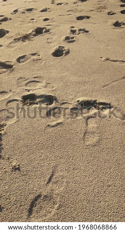 footprints on the sand of the beach