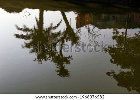 tree reflection on water abstract photo