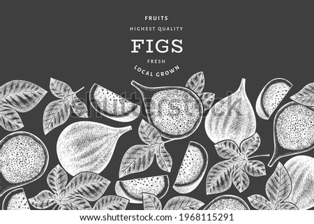 Hand drawn fig fruits design template. Organic fresh food vector illustration on chalk board. Retro fig fruit banner.