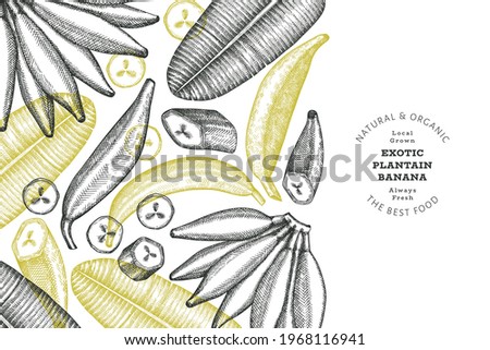 Hand drawn sketch style plantain banner. Organic fresh fruit vector illustration. Retro exotic banana fruit design template Royalty-Free Stock Photo #1968116941