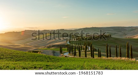 A wellknown Tuscan landscape with grain fields, cypresses and houses in the hills at sunset. Autumn rural landscape with winding road in Tuscany, Italy, Europe.