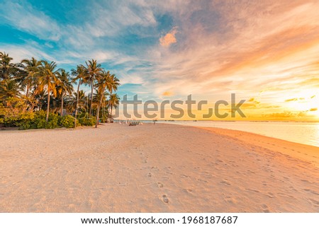 Tropical sea beach colorful sky sand sunset light. Relaxation landscape, horizon with palm trees and calm sea. Romantic couple seaside beach, shore coast nature. Gorgeous landscape, stunning sky view Royalty-Free Stock Photo #1968187687