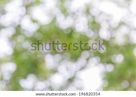 abstract Bokeh background